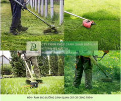 Bảo dưỡng cảnh quan KCN Nhơn Trạch 1 Đồng Nai uy tín, chuyên nghiệp