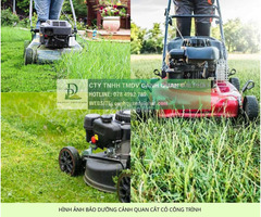 CẮT CỎ PHÁT HOANG ĐỒNG NAI CHO CÔNG TRÌNH – NHÀ MÁY – NHÀ XƯỞNG
