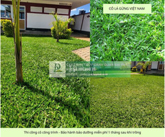 Trồng cỏ dự án Khu công nghiệp Đồng Nai - Bảo hành bảo dưỡng 1 tháng miễn phí
