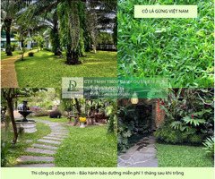 Thi công cây xanh – thảm cỏ công trình tại Đồng Nai, Bình Dương, TPHCM, Vũng Tàu,...