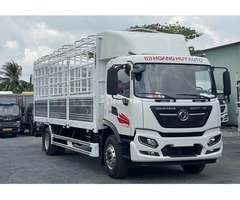 Xe tải DongFeng 9T1 thùng 8m2 giao ngay Hoàng Huy nhập khẩu