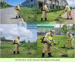Cắt Cỏ Vệ Sinh Cảnh Quan Đồng Nai Chuyên Nghiệp