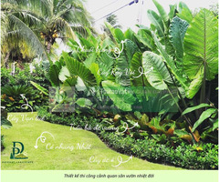 Thiết kế thi công cảnh quan sân vườn mới nhất 2026