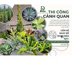 Thiết kế thi công tiểu cảnh sân vườn kiểng lá TPHCM, Đồng Nai 2026