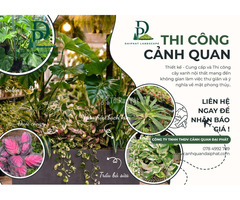 Thiết kế – thi công – bố trí cây văn phòng tại Đồng Nai