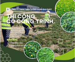 Thi công cỏ công trình nhà máy, nhà xưởng, sân vườn tại Đồng Nai