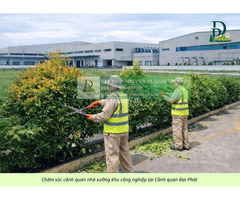 DỊCH VỤ CẮT CỎ – VỆ SINH CẢNH QUAN KCN AMATA, KCN BIÊN HÒA ĐỒNG NAI