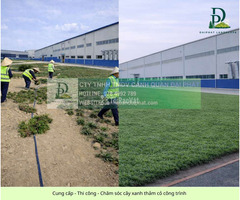 Thi công cây xanh công trình chăm sóc thảm cỏ khu công nghiệp tại Đồng Nai