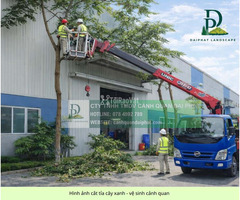 Dịch Vụ Cắt Tỉa Cây Xanh Nhà Xưởng – Khu Công Nghiệp Đồng Nai, TP.HCM, Bình Dương, Long An