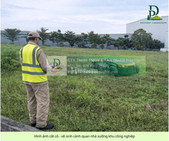 DỊCH VỤ CẮT CỎ – CƯA CÂY TẠI KCN LONG THÀNH, ĐỒNG NAI - 2