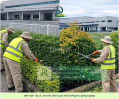 DỊCH VỤ CẮT CỎ – CƯA CÂY TẠI KCN LONG THÀNH, ĐỒNG NAI - 3