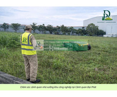 DỊCH VỤ CẮT CỎ – CƯA CÂY KCN NHƠN TRẠCH, ĐỒNG NAI - 3