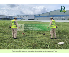 DỊCH VỤ CẮT CỎ – CƯA CÂY KCN NHƠN TRẠCH, ĐỒNG NAI - 4