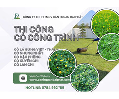 Dịch vụ trồng cỏ lá gừng – cỏ nhung Nhật tại Biên Hòa, Đồng Nai - 2