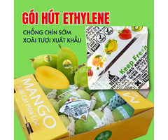 Cách sử dụng gói hút khí Ethylene Secco 5g hiệu quả cho Xoài