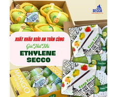 Làm thế nào để giữ Xoài tươi ngon suốt 30 ngày vận chuyển?