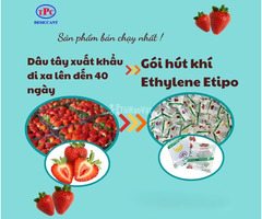Gói hút ẩm có giảm rủi ro ẩm mốc cho nông sản không?