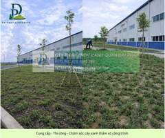 DỊCH VỤ TRỒNG CỎ CHO DOANH NGHIỆP NHÀ XƯỞNG MỚI KCN BÀU CẠN ĐỒNG NAI