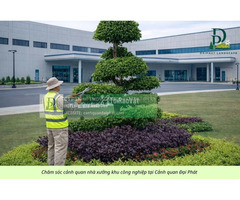Dịch Vụ Cưa Cây, Cắt Cỏ Nhà Máy Tại KCN Amata Biên Hòa – An Toàn, Chuyên Nghiệp, Giá Tốt