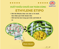Gói hút ẩm nông sản có giúp giữ hàng khô, giảm mốc khi xuất khẩu?