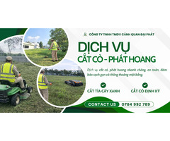 Dịch Vụ Cắt Cỏ, Cưa Cây Long Thành – Long Đức Đồng Nai Nhanh Gọn, An Toàn, Giá Tốt