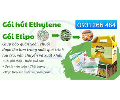Gói hút khí ethylene – Giải pháp chống chín sớm, giữ trái cây tươi lâu khi vận chuyển