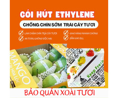 Gói Hút Ethylene Cho Xoài – Giải Pháp Chống Chín