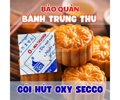 Bí Quyết Bảo Quản Bánh Trung Thu Tươi Ngon Không Dùng Chất Bảo Quản