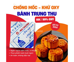 Giải Pháp Kéo Dài Hạn Sử Dụng Bánh Trung Thu: Không Hóa Chất, Vẫn Ngon Lâu