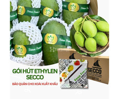 Gói hút ethylene – Giải pháp chống chín sớm cho Xoài