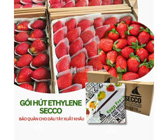 Gói hút Ethylene Secco – Khống chế độ chín dâu tây, đạt chuẩn xuất khẩu