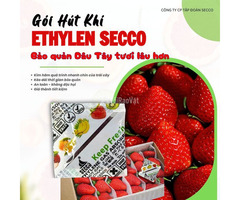 Gói hút ethylene Secco – Bí quyết bảo quản dâu tây chống chín sớm