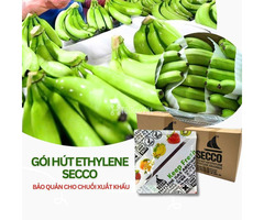 Bảo quản chuối đi xa bằng gói hút ethylene – Giải pháp chống chín sớm tối ưu