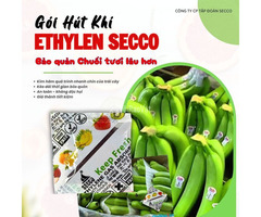 Ứng dụng gói hút ethylene Secco giúp chống chín sớm chuối tươi xuất khẩu