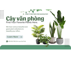 Dịch Vụ Chăm Sóc Cây Xanh Văn Phòng – Tòa Nhà Tại Đồng Nai