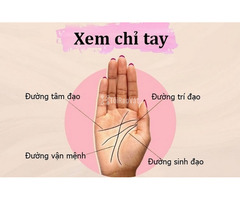 Cách xem chỉ tay sinh đạo đoán được vận mệnh và sức khỏe