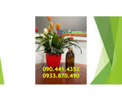 Thổi chai thủy tinh 1 lít đựng hóa chất theo yêu cầu, chai thủy tinh 500ml, 250ml