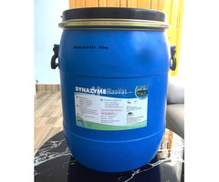 Enzyme tăng trọng Dynazyme, bổ sung vào thức ăn vật nuôi