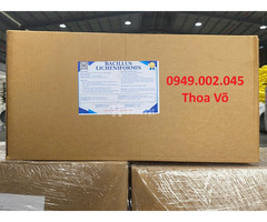 Bacillus Licheniformis – Xử Lý Đáy Ao, Giảm Khí Độc NH3, H2S Hiệu Quả - 2