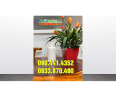 Chai nhựa 1 lít có vạch chia, chai nhựa 0.5 lít có 2 nắp đậy - 3