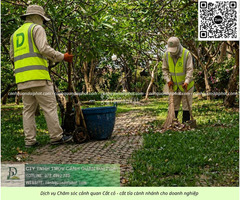 DỊCH VỤ CHĂM SÓC CÂY XANH KCN LINH TRUNG, TP.HCM - 2