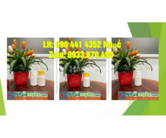 Hủ nhựa 250g đựng viên giặt quần áo, hủ nhựa 0.5 ký đựng sáp, kem sệt