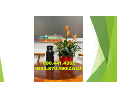 Chai nhựa 1 lít vuông đựng dầu hôi, vỏ chai nhựa 0.5 lít đựng dầu mỏ - 3