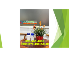 Chai nhựa 1 lít vuông đựng dầu hôi, vỏ chai nhựa 0.5 lít đựng dầu mỏ - 4