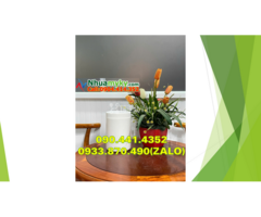 Lọ nhựa 50g đựng tinh dầu, hộp nhựa 100g đựng tinh chất cô đặc (gel)