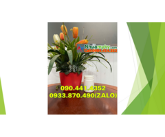 Lọ nhựa 50g đựng tinh dầu, hộp nhựa 100g đựng tinh chất cô đặc (gel) - 3