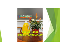 Bán can nhựa 2 lít đựng hóa chất tại Long An, can vuông 5 lít tại Bình Phước - 2
