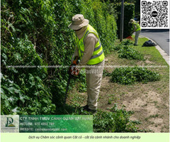 Chăm sóc cây xanh, cắt cỏ – vệ sinh cảnh quan Tam Phước Đồng Nai - 4