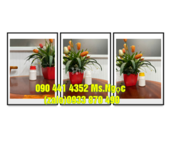 Hủ nhựa 250gr, hủ nhựa đựng hóa chất 500gr, hủ nhựa 1000gr ( 1 ký)