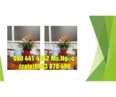 Hủ nhựa 250gr, hủ nhựa đựng hóa chất 500gr, hủ nhựa 1000gr ( 1 ký) - 2